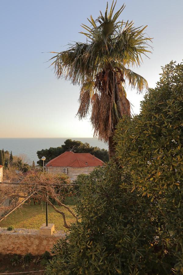 Studio Apartments Kalma Dubrovnik Dış mekan fotoğraf